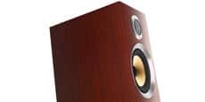 BW CM1 S2 Rosenut