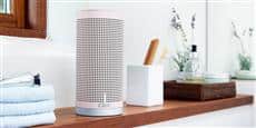 Clint Freya Wifi Rose antique