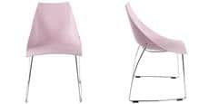Coti Design Maryland Rose