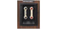 Dali Opticon 6 Noyer