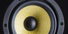 Davis Acoustics Balthus 50 noyer