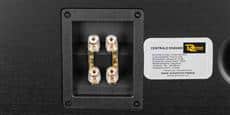 Davis Acoustics Dhavani Centrale