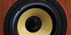 Davis Acoustics Olympia One Master Merisier