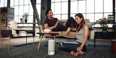 Libratone Zipp Gris clair