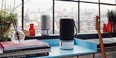Libratone Zipp Gris foncé
