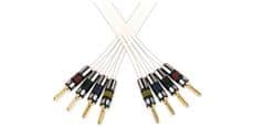 QED Reference Silver Anniversary XT Bi-Wire Blanc