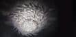 Slamp Plafonnier Pacis L Blanc