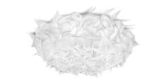 Slamp Plafonnier Veli Opal L