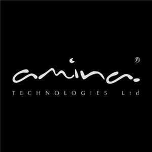 Amina