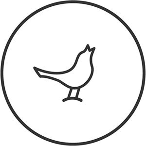 Libratone