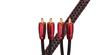 Audioquest Golden Gate RCA (0,6 m)