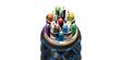 Audioquest Thunderbird eARC Priority HDMI (3 m) (photo supp. n°1)