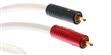 Atlas Element Achromatic RCA (2 m) (photo supp. n°4)