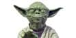 Attakus Yoda (photo supp. n°2)