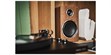 Argon Audio Fenris Active A4 Noyer (photo supp. n°7)
