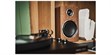 Argon Audio Fenris Active A5 Noyer (photo supp. n°6)