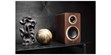 Argon Audio Forte A4 WiFi Noyer (photo supp. n°3)