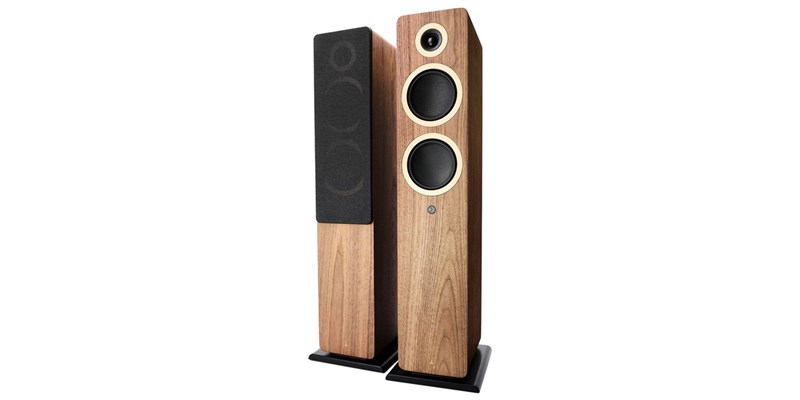 Argon Audio Forte A55 WiFi Noyer
