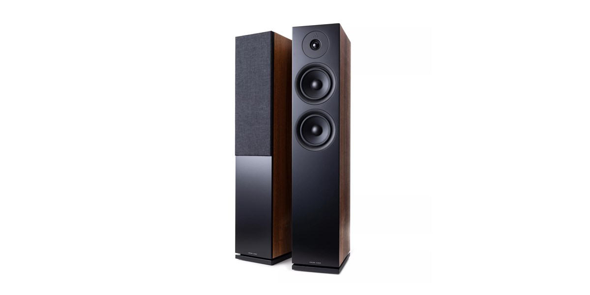 Argon Audio Forus 55 Noyer