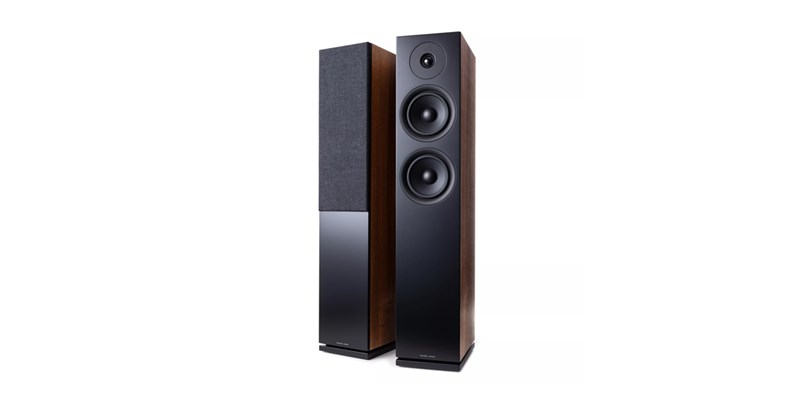 Argon Audio Forus 55 Noyer