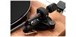 Argon Audio TT-4 MK2 Mahogany (photo supp. n°3)