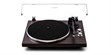 Argon Audio TT Mahogany (photo supp. n°3)