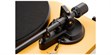Argon Audio TT MK2 Jaune (photo supp. n°6)