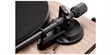 Argon Audio TT MK2 Noyer (photo supp. n°4)