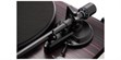 Argon Audio TT MK2 Mahogany (photo supp. n°4)