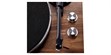 Argon Audio TT Noyer (photo supp. n°5)