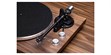 Argon Audio TT Noyer (photo supp. n°6)
