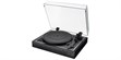 Argon Audio TT Signature Cerisier 