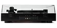 Argon Audio TT Signature Cerisier  (photo supp. n°2)