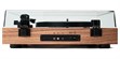 Argon Audio TT Signature Noyer (photo supp. n°2)