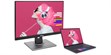 Asus ProArt Display PA248QV (photo supp. n°9)