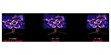 Asus ROG Swift OLED PG32UCDM (photo supp. n°16)