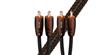Audioquest Big Sur RCA (3 m)