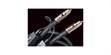 Audioquest Pegasus RCA (1 m) (photo supp. n°6)