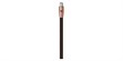 Audioquest Pegasus XLR (1 m) (photo supp. n°1)