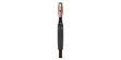 Audioquest Pegasus XLR (1 m) (photo supp. n°3)