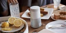 Bose SoundLink Revolve gris
