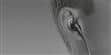 Bose SoundTrue Noir (photo supp. n°4)