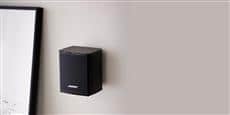 Bose Virtually Invisible 300