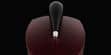 BW 804 D3 Rosenut  (photo supp. n°3)