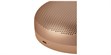 Bang Olufsen Beosound A1 3rd Gen Honey Tone (photo supp. n°4)