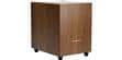 Cabasse MT32 Orion Noyer