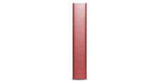 Cambridge Audio DacMagic XS Rouge