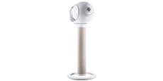Devialet Tree Wood Phantom
