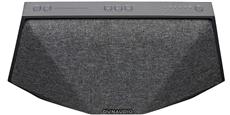 Dynaudio MUSIC 3 Gris foncé
