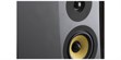 Davis Acoustics Courbet N°3 Gris (photo supp. n°6)
